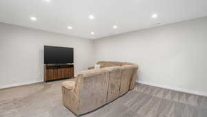 Basement Family Room