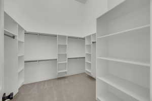 Spacious closet featuring carpet flooring