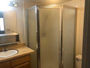 Full bathroom featuring vanity, a shower stall, and toilet
