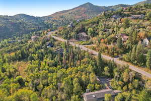 Bird's eye view featuring a forest view and a mountain view