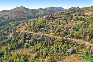 Bird's eye view with a wooded view and a mountain view