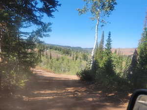 View of road