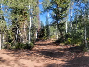View of road