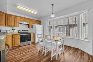 Kitchen with light wood-style flooring, freestanding refrigerator, light countertops, electric stove, and under cabinet range hood