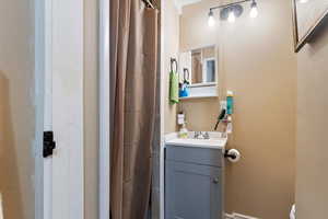 Full bathroom with toilet, vanity, and a shower with curtain