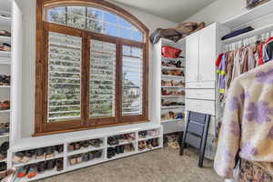 Spacious closet featuring carpet