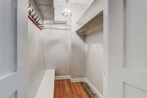 Spacious closet with light wood finished floors