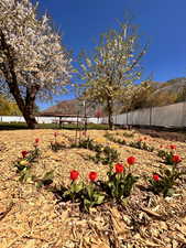 View of yard featuring fence