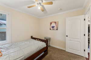 Carpeted bedroom featuring ceiling fan, crown molding, and baseboards