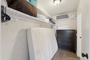 Spacious closet with dark colored carpet