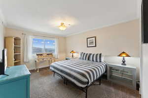 Bedroom with carpet, baseboards, and ornamental molding