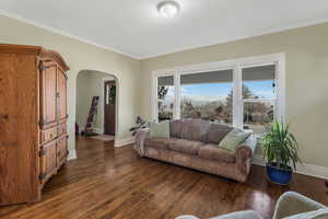 Living room featuring baseboards, arched walkways, and dark wood-style flooring