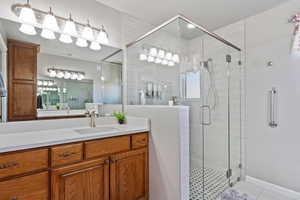 Brand new master bath with double vanity and roll in shower.