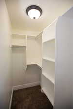 Spacious walk-in closet featuring carpet flooring