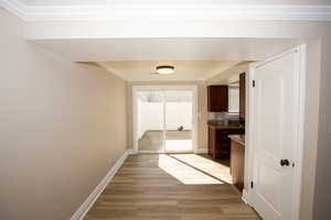 Dining area with baseboards, light wood-type flooring, and ornamental molding