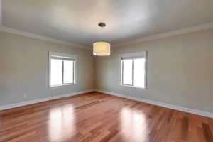 Empty room with light wood-style flooring, a healthy amount of sunlight, baseboards, and ornamental molding