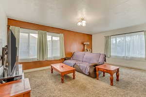 Living room featuring baseboards, carpet, and wooden walls