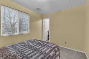 Bedroom with visible vents, baseboards, and carpet