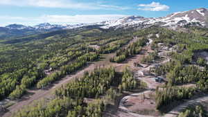 Bird's eye view featuring a forest view and a mountain view