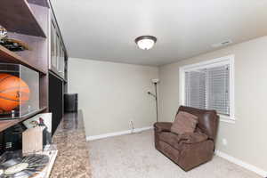 Living area featuring visible vents, a textured ceiling, baseboards, and carpet