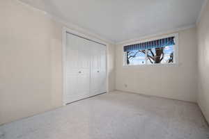 Unfurnished bedroom with carpet, a closet, and ornamental molding