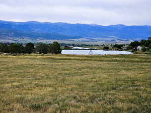 Photo 13 of 7  JUNIPER FLDS