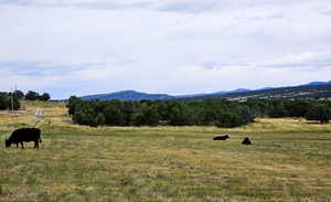 Photo 1 of 7  JUNIPER FLDS
