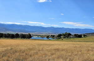 Photo 2 of 7  JUNIPER FLDS