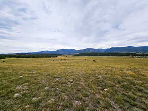 Photo 14 of 7  JUNIPER FLDS
