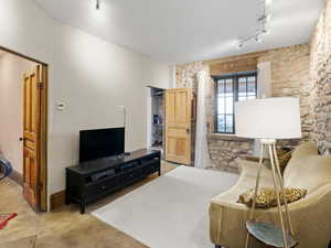 Basement living area with rail lighting and carpet