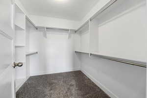 Walk in closet with carpet flooring