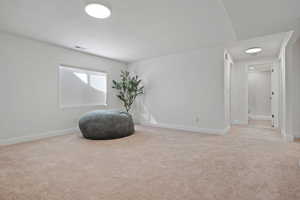 Misc room featuring visible vents, baseboards, and carpet