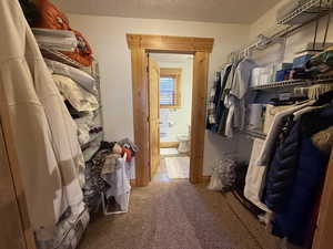 Spacious closet with carpet