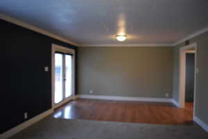 Unfurnished room with wood finished floors, baseboards, and ornamental molding