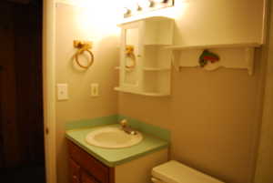 Half bathroom featuring toilet and vanity