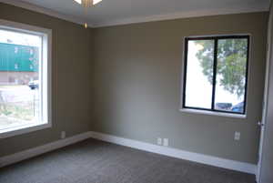 Unfurnished room with crown molding, plenty of natural light, baseboards, and dark carpet