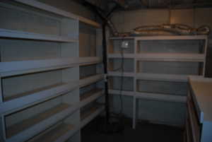 View of basement