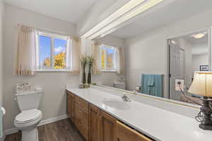 Bathroom with dark wood-type flooring and vanity