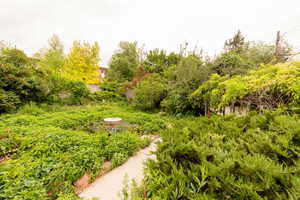 View of yard with a patio and fence. Beautiful Perennial Garden in Spring. Summer & Fall