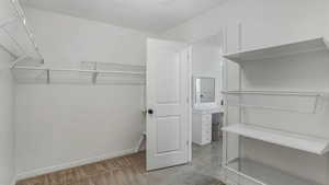 Walk in closet with light carpet