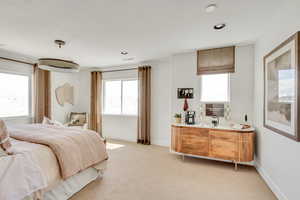 Bedroom featuring visible vents, baseboards, light colored carpet, and indoor wet bar