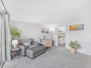 Living area with light colored carpet, a textured ceiling, and baseboards