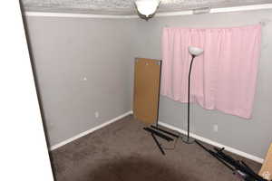 Interior space with ornamental molding, carpet flooring, baseboards, and a textured ceiling