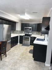Kitchen with visible vents, a sink, dark cabinetry, appliances with stainless steel finishes, and light countertops