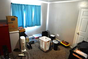 Bedroom featuring carpet floors