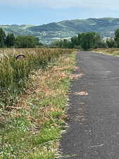 View of mountain backdrop featuring rural landscape