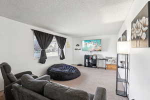 Living room featuring a textured ceiling and carpet