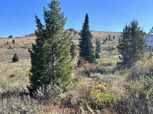 View of mountain feature