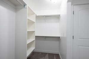 Spacious closet with dark carpet