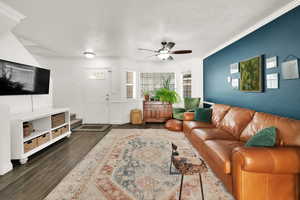 Living room featuring ceiling fan, dark wood-type flooring, ornamental molding, and a textured ceiling
